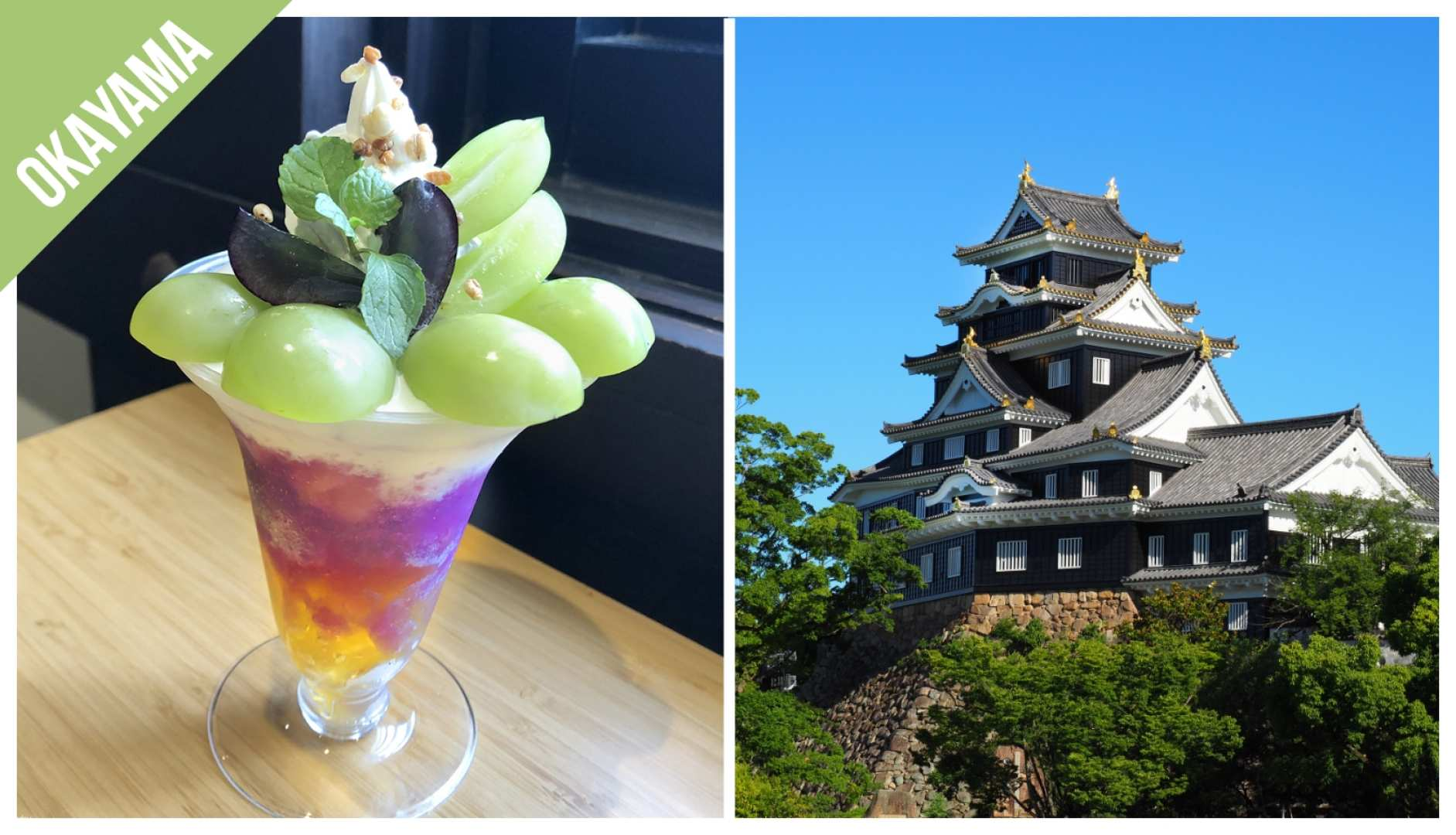 東京 の Have Fun in JAPAN Pass (2 Weeks Free Pass with 21 Facilities) | Pelago