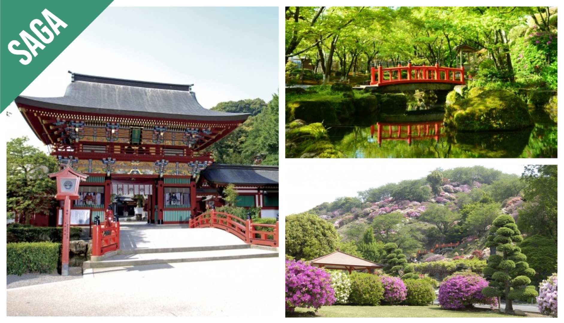 東京 の Have Fun in JAPAN Pass (2 Weeks Free Pass with 21 Facilities) | Pelago