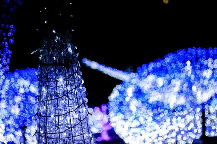 Experience the dazzling display of lights at Huis Ten Bosch creating a magical backdrop for your visit while traveling comfortably from Fukuoka on a chartered bus.