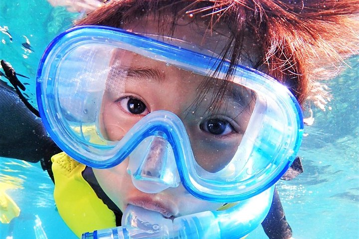 Charter Snorkeling (near Churaumi Aquarium) Free photo gift - Photo 1 of 8