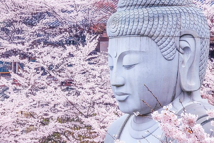 Experience the serene beauty of the Cherry Blossom Buddha surrounded by delicate pink blooms a perfect setting for reflection and connection with nature in Osaka.