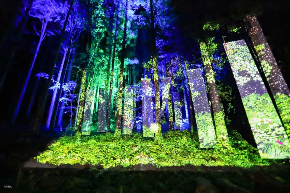 Chibam Land Light Paper-Cut Night Walk Admission Ticket (Tone District, Gunma Prefecture, Event) - Photo 1 of 10