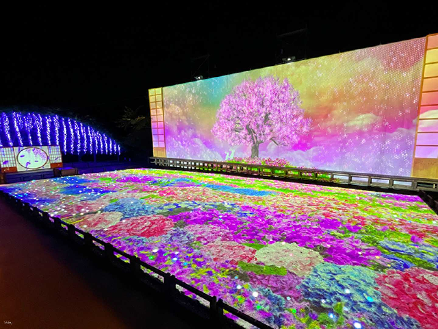 English/Chinese Guided Day Bus Tour (Departing and Returning from Shinjuku): All-You-Can-Eat Crab, Play in the Snow at Tanbara Ski Park, and Visit Ashikaga Flower Park Illuminations (Numata City, Gunma Prefecture) (Ashikaga City, Tochigi Prefecture) - Photo 1 of 5