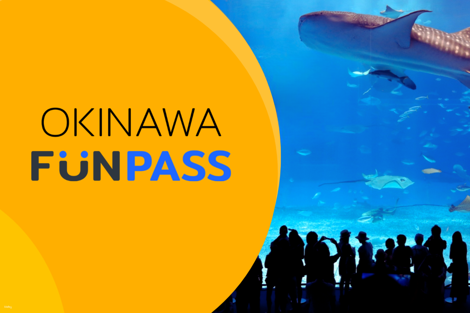 Okinawa Fun Pass｜Churaumi Aquarium＋Optional Combo Ticket｜Okinawa Fun Pass - Photo 1 of 10