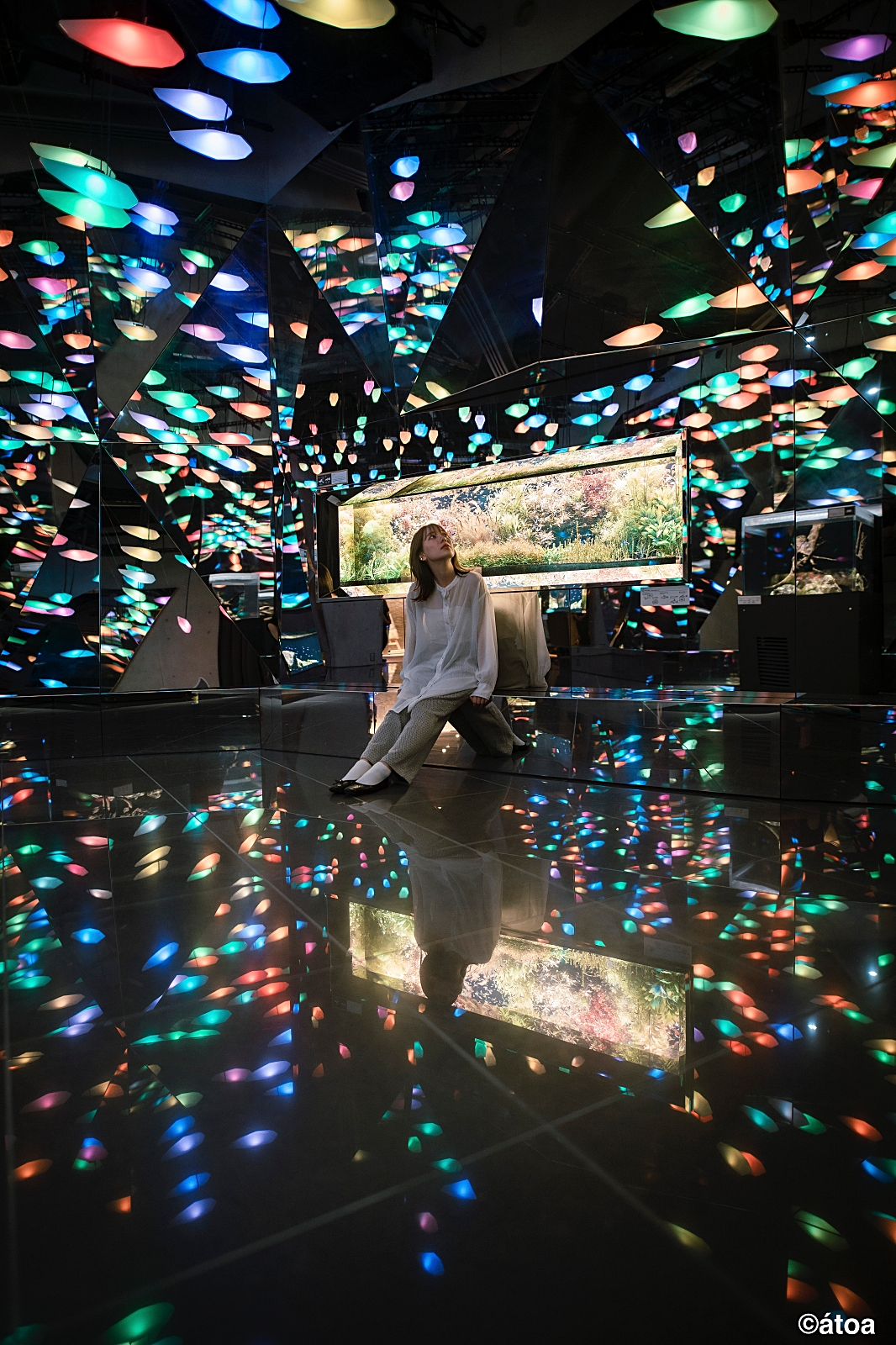 Combo Tickets: Enjoy átoa Aquarium and Kobe Port Tower at a Great Value - Photo 1 of 13