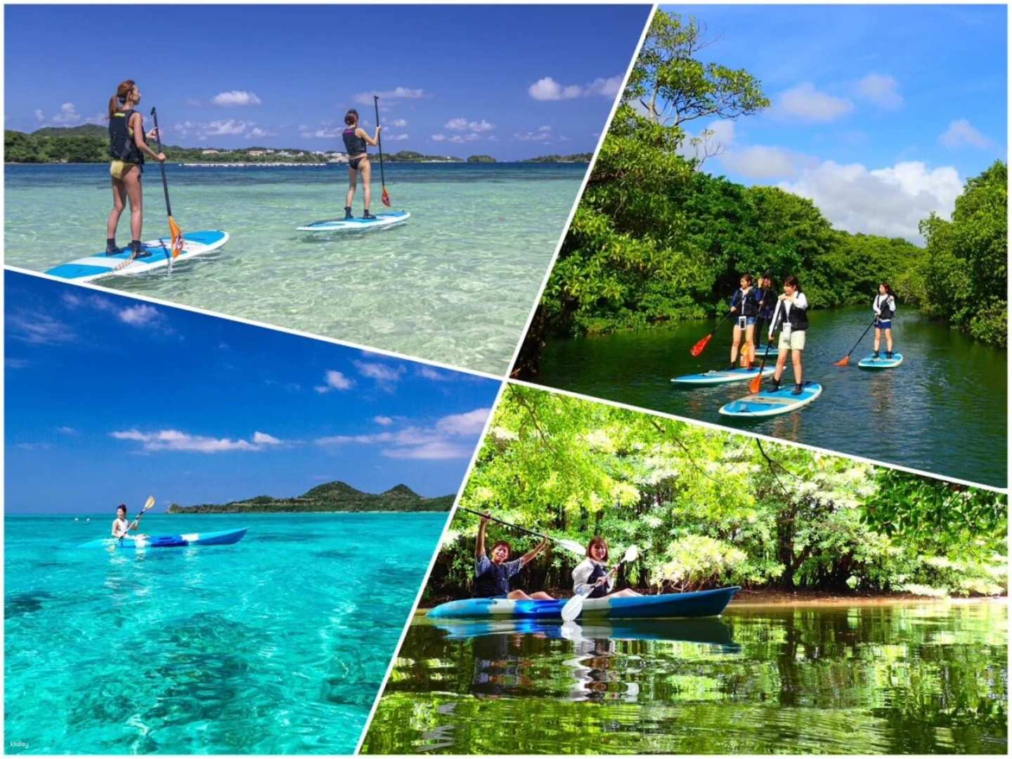 Explore stunning Kabira Bay and lush mangroves on a SUP or canoe adventure discovering hidden gems and enjoying scenic views while creating unforgettable memories on Ishigaki Island.