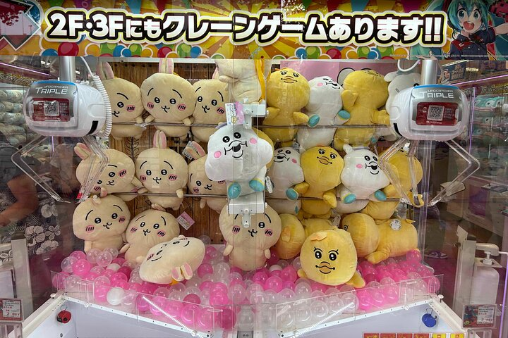 Crazy about Anime! Private Full Day Tokyo Manga Anime Tour by