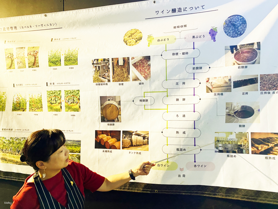 Cultural Experience in Osaka, Japan | Hanoi Wine House Guide and Winemaking Process Introduction - Photo 1 of 8