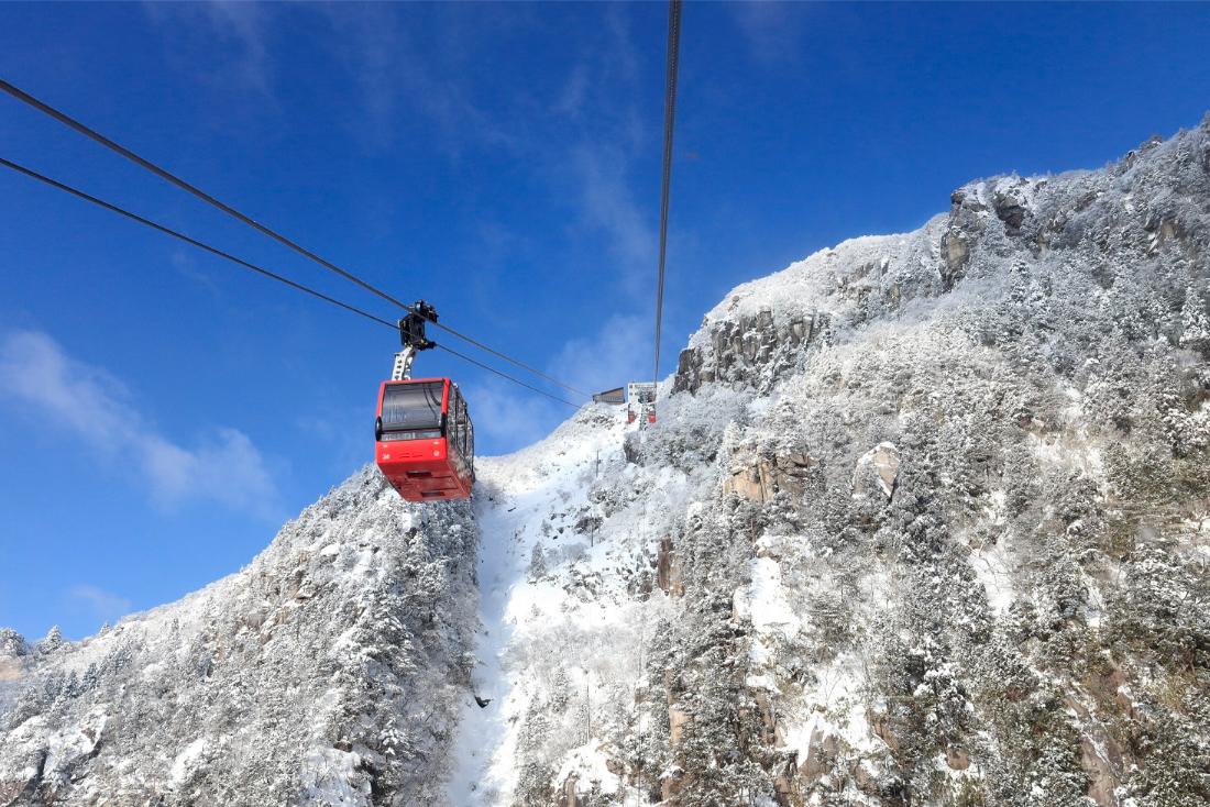Dazzling Snow View Tour to FrozenTree and Illumination from Osaka - Photo 1 of 8