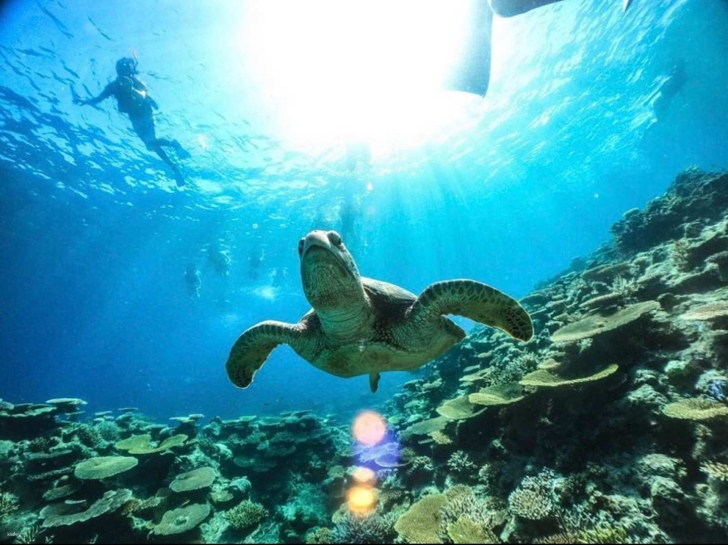 Reservation for the SNS popular miracle island (Barasu Island) landing + snorkeling experience with hotel pick-up in the Uehara area and free photo data (Iriomote Island, Okinawa) - Photo 1 of 10