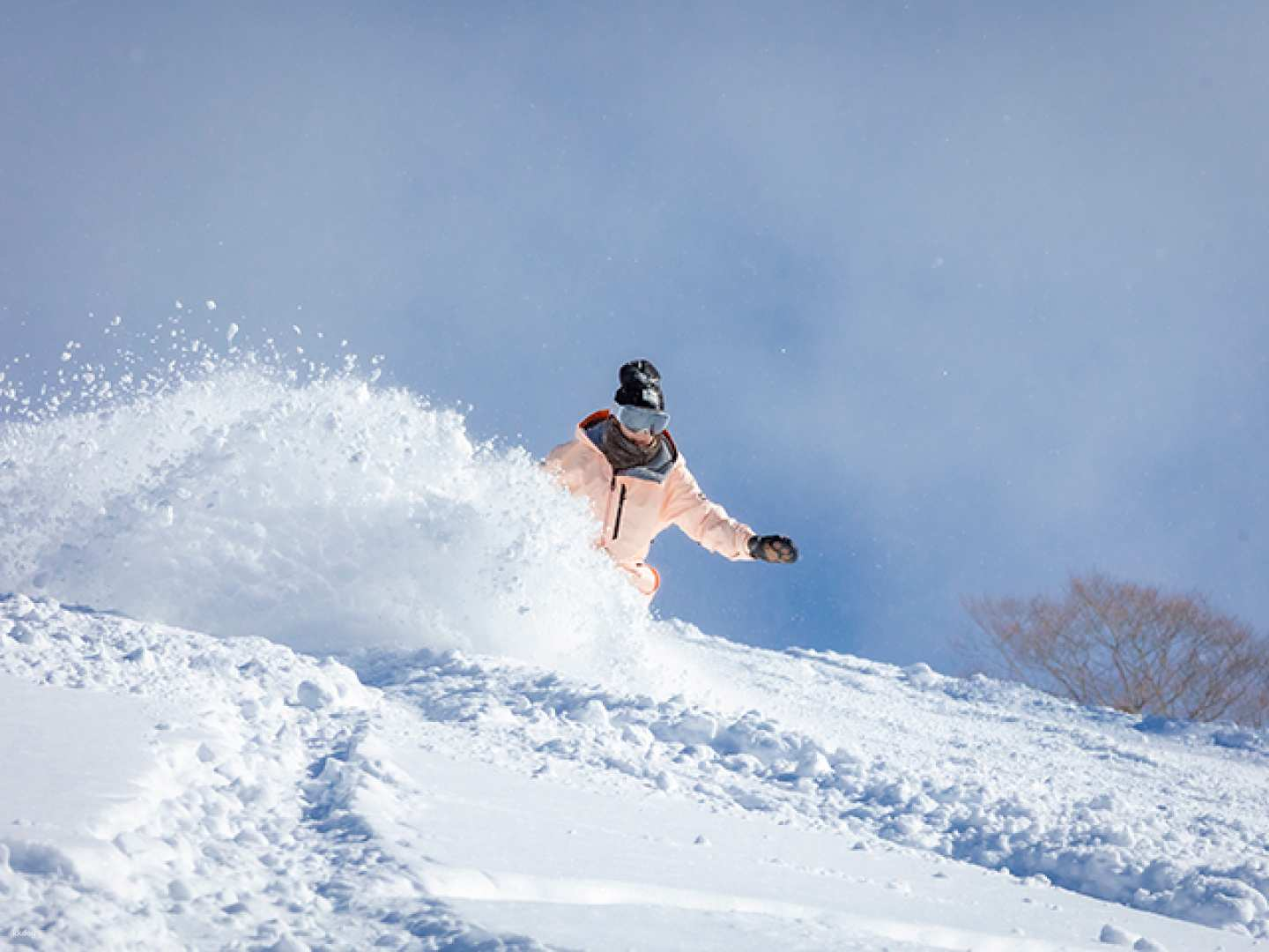 Tambara Ski Park Day Trip Bus Tour with English or Chinese Guide (Departing and Returning from Shinjuku) | Ski or Snowboard Rental + Lift Ticket Included (Numata City, Gunma Prefecture) - Photo 1 of 5