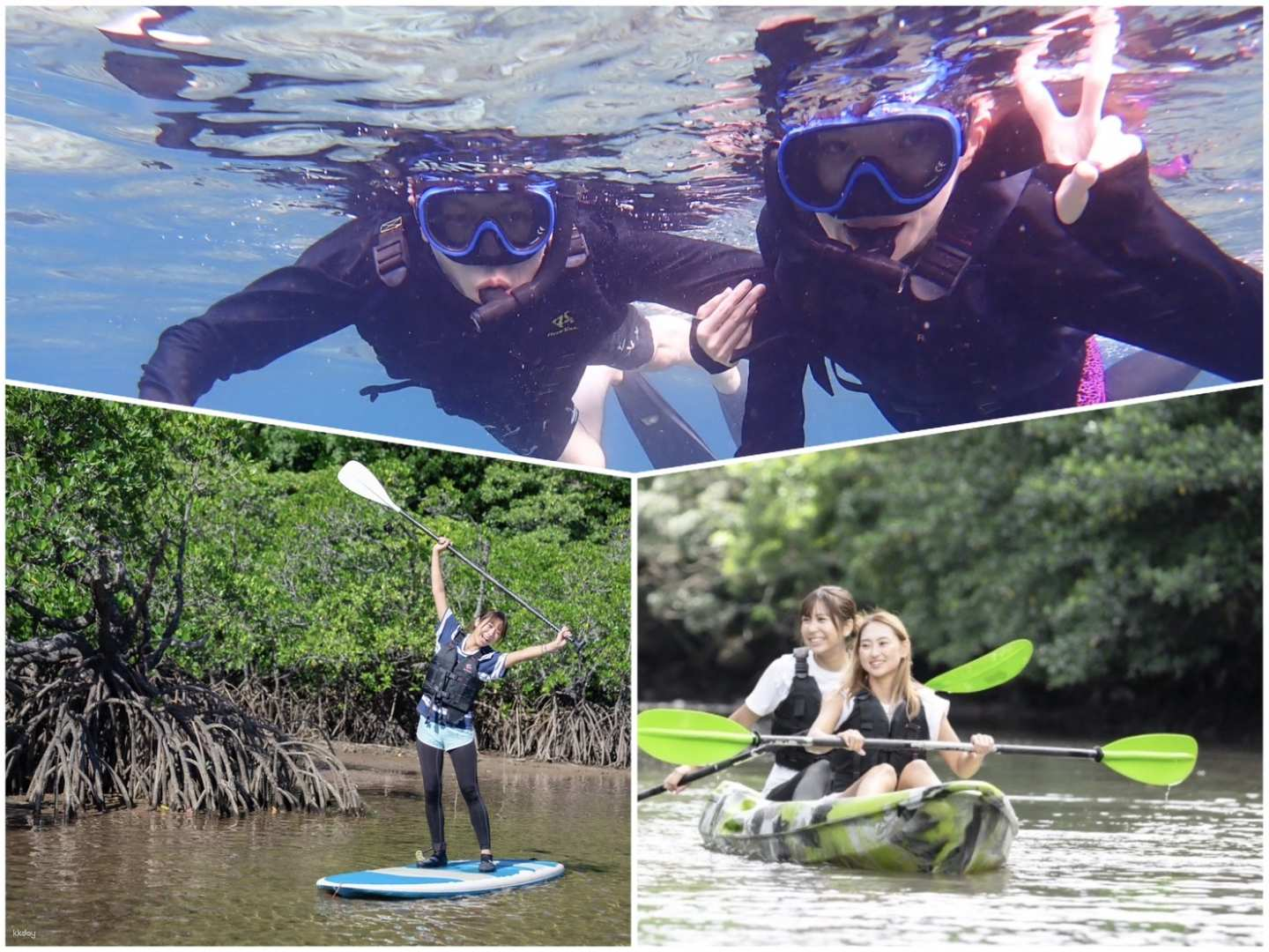 [1 day] Mangrove SUP or canoe exploration & tropical snorkeling experience reservation to Mizuochi Falls (with hotel pick-up in Uehara area & free photo data) - Photo 1 of 10