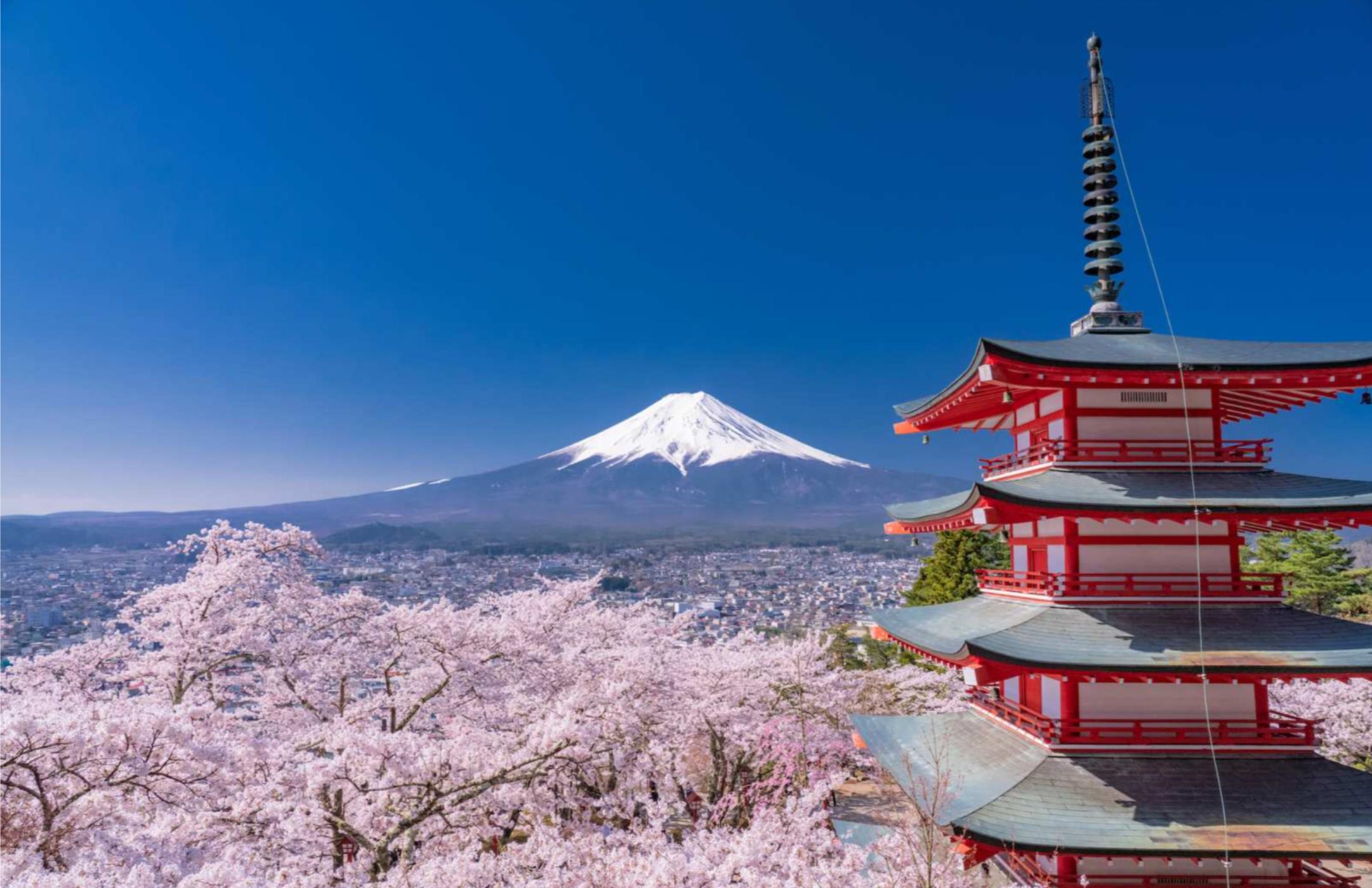 Cherry blossoms frame the iconic pagoda against the majestic Mt. Fuji creating an unforgettable backdrop that perfectly embodies Japan's natural beauty and rich cultural heritage.