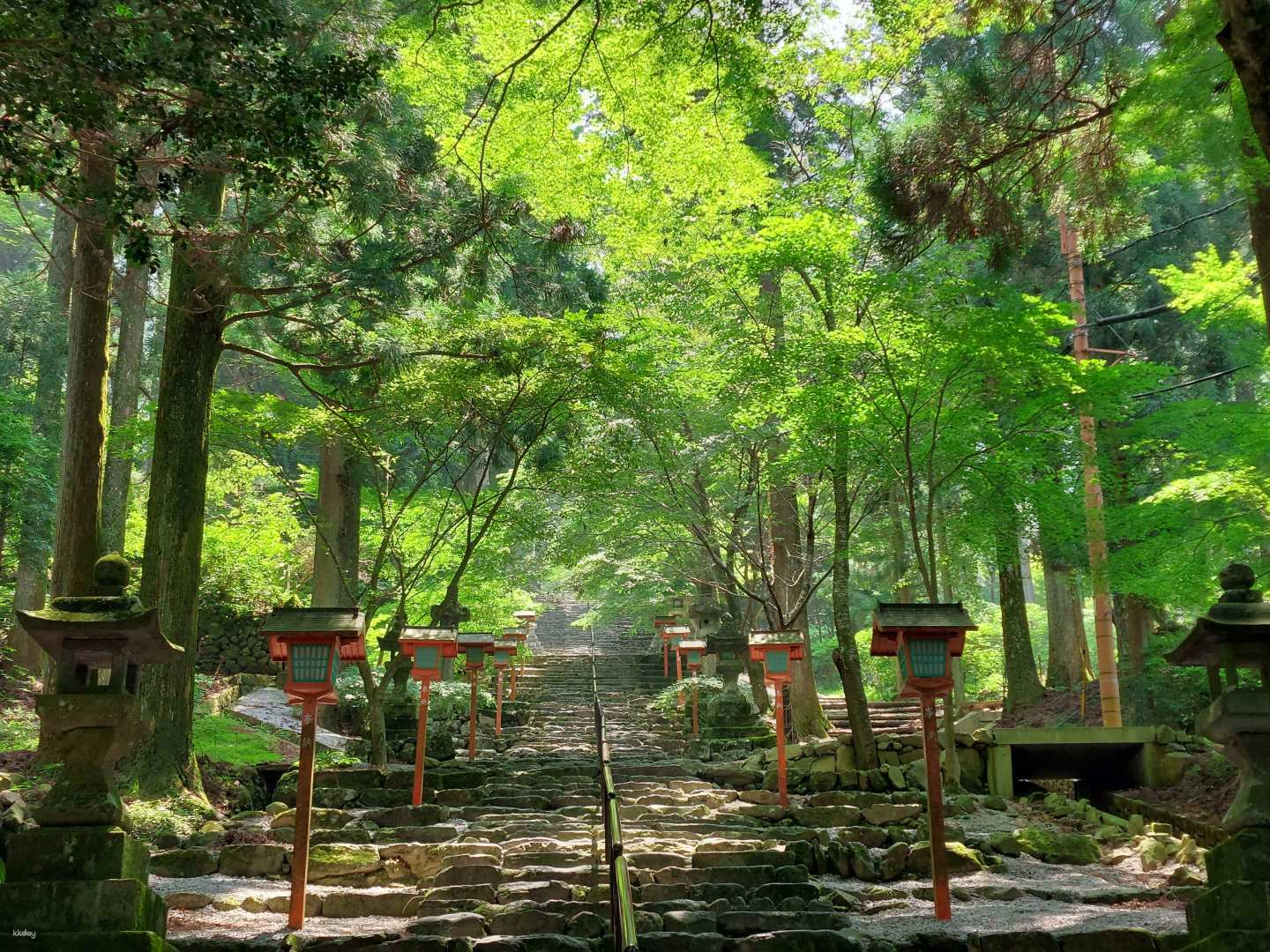 YokaBus: Discover Chikuho Fukuoka Hikosan Jingu & Showa Era Market - Photo 1 of 25