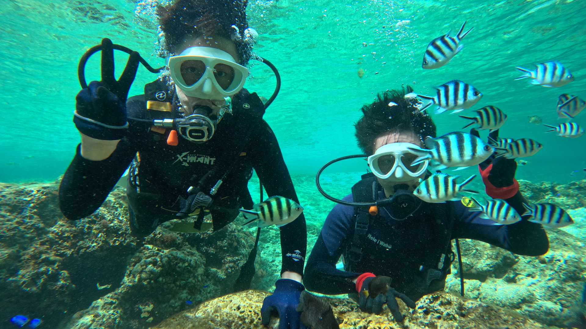 Diving and Snorkeling Experiences [Blue Cave OKINAWA SEA ISLAND] - Photo 1 of 5