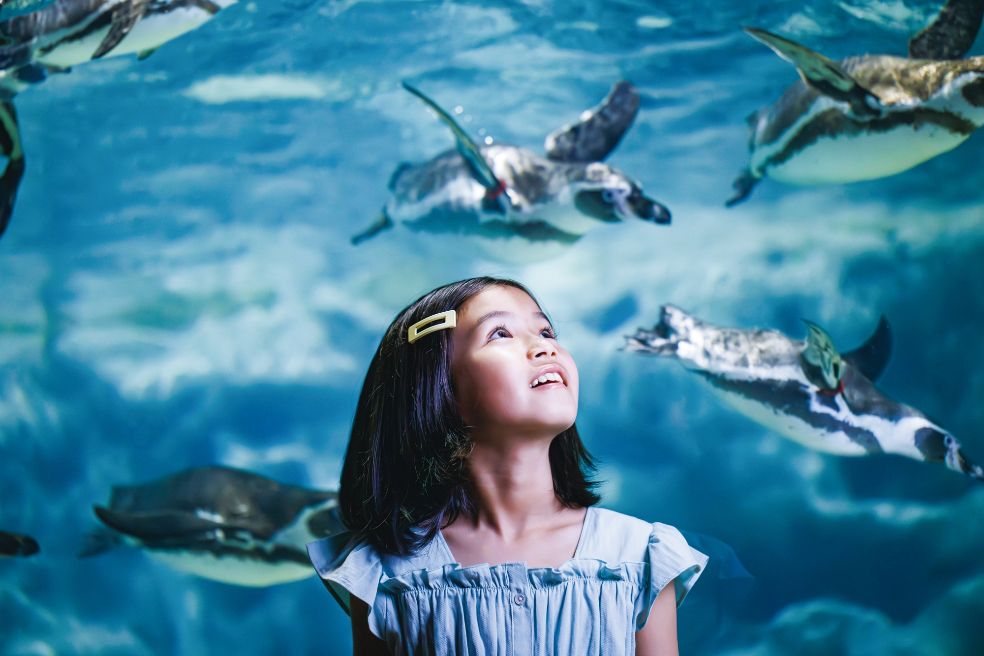 DMM Kariyushi Aquarium Admission Ticket 2025 - Photo 1 of 10