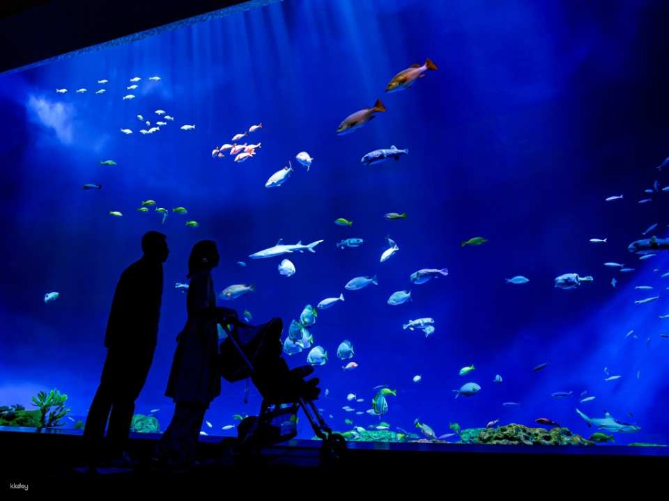 DMM Kariyushi Aquarium Tickets in Okinawa, Japan | Receive an Ice Cream Voucher - Photo 1 of 8