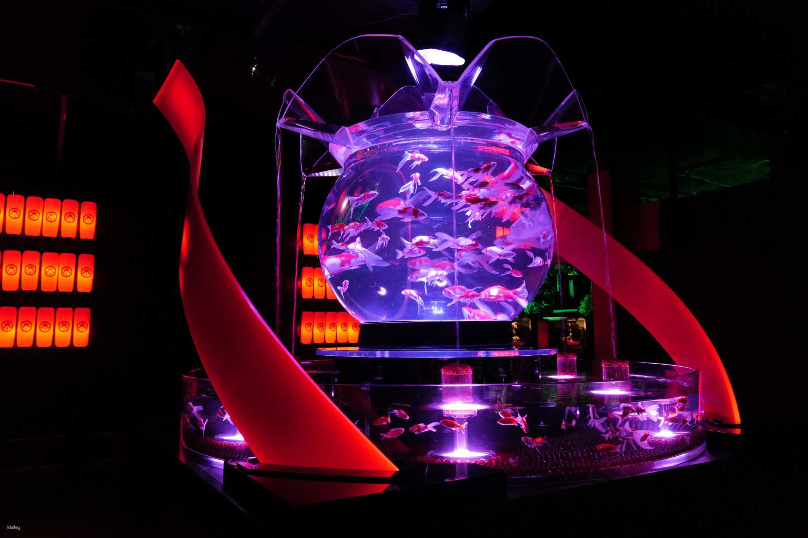 Ginza Art Aquarium Tokyo Museum Admission Ticket - Photo 1 of 10