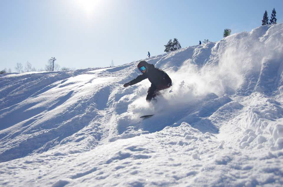 Dynaland Ski Resort Round-Trip Bus & Ski Lift 1-Day Ticket Plan | Nagoya/Hida Takayama - Photo 1 of 5