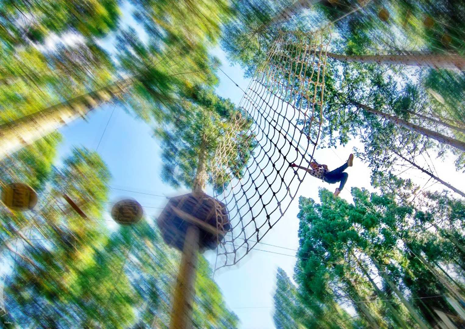 Enjoy forest play in Shiga Prefecture! Treetop athletics that the whole family and friends can enjoy together [Forest Adventure, Ritto] - Photo 1 of 10
