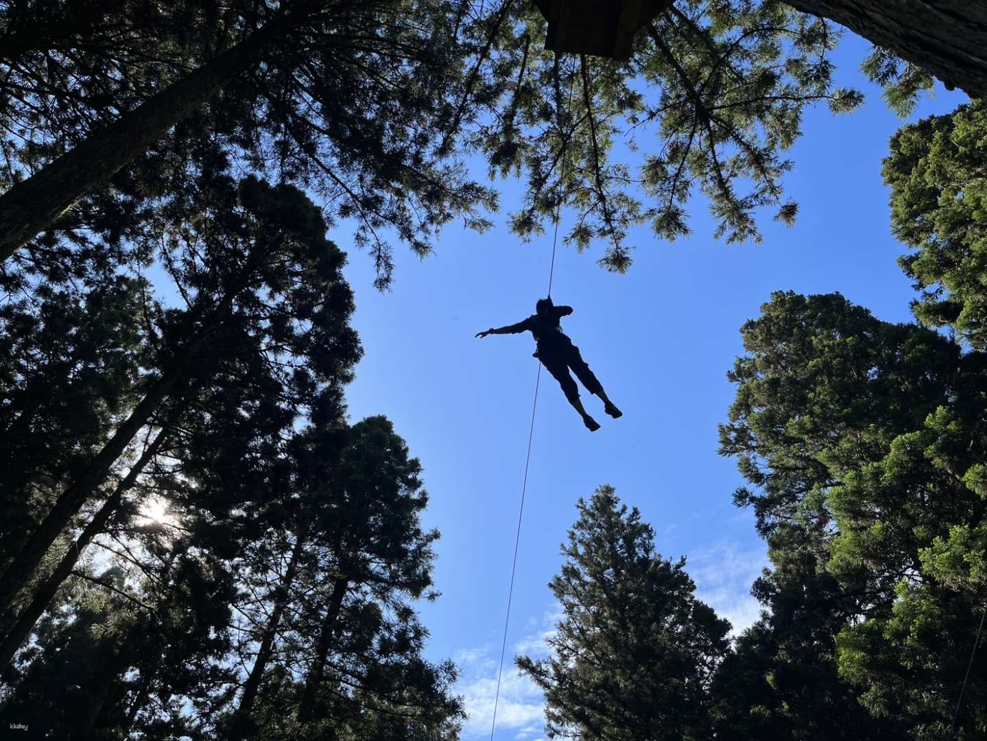 Enjoy nature on an aerial walk in the Itoshima 100-Year Forest! Treetop athletics that the whole family and friends can enjoy together [Forest Adventure Itoshima] - Photo 1 of 9