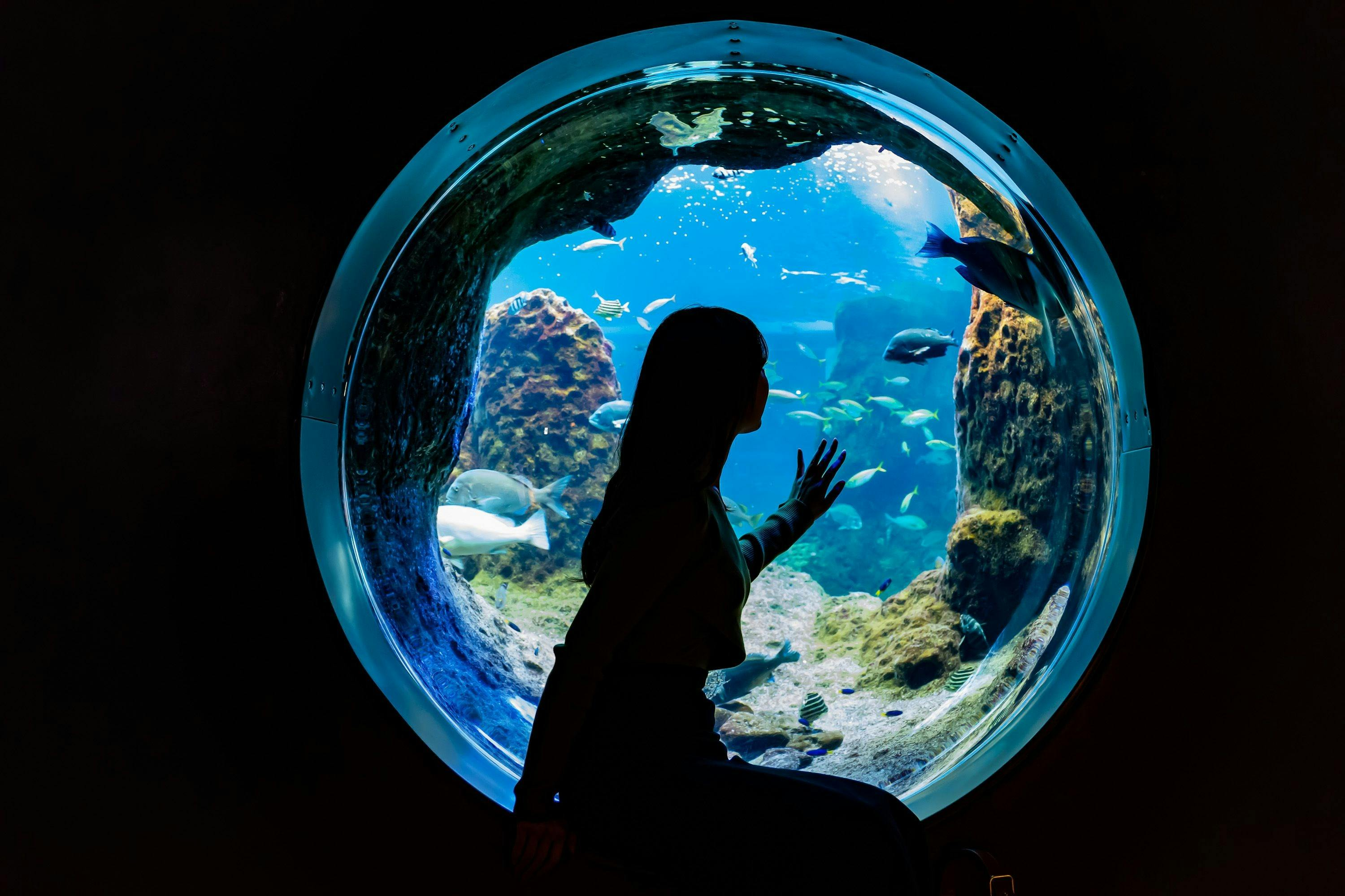 Enoshima Aquarium: Entry Ticket - Photo 1 of 4