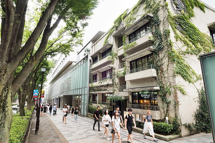 Essential tour for fashion and art in Tokyo for 6 hours with local lunch - Photo 1 of 7