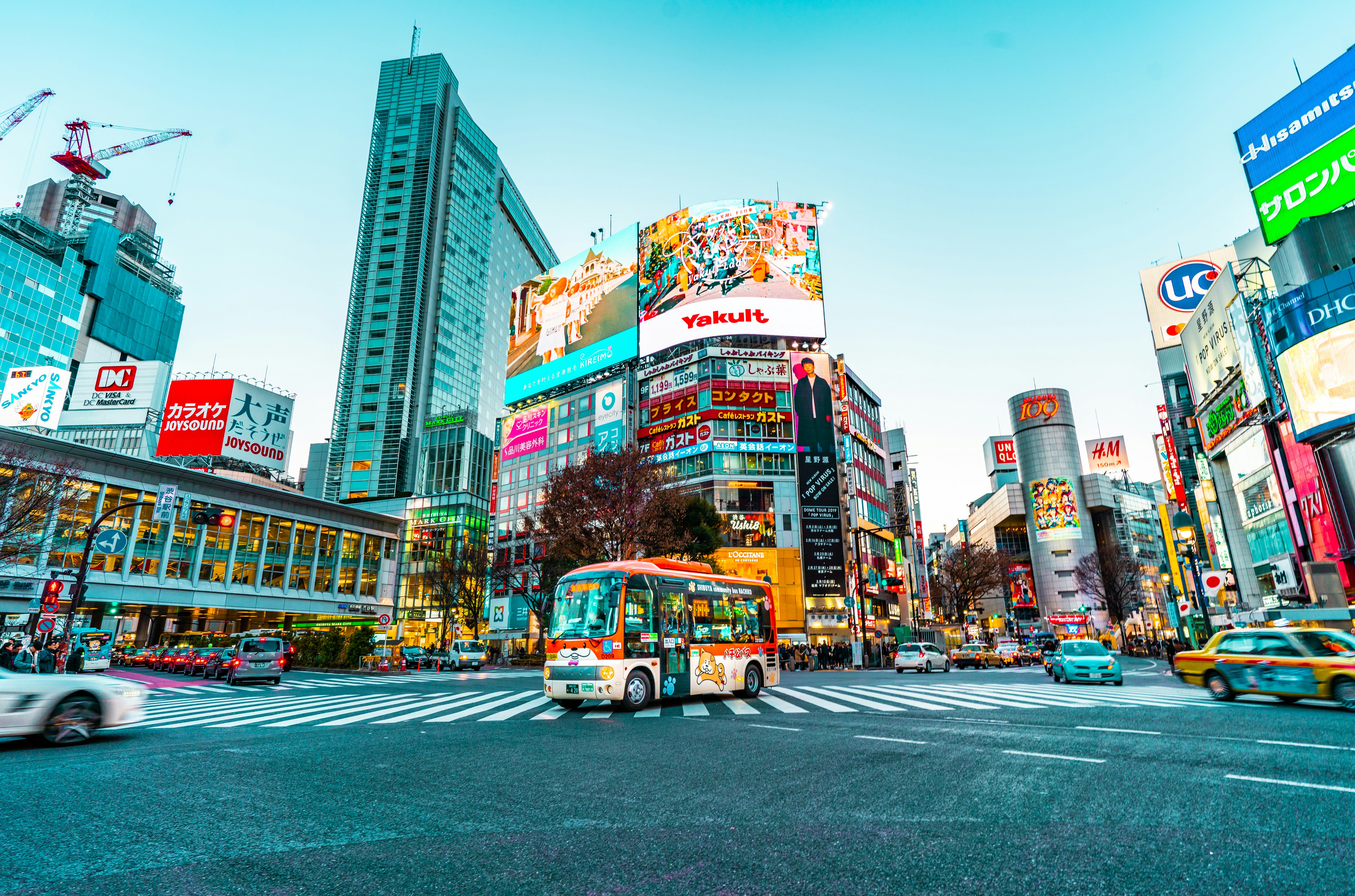 Discover the blend of urban energy and serene landscapes while navigating Tokyo and Mt. Fuji with ease. Experience culture history and iconic views on your customized journey.