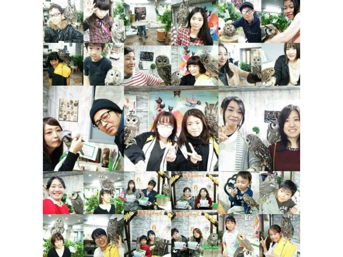 Experience-based owl cafe Owl Park Owl Cafe Ikebukuro [Experience fee and food fee included] Experience interacting with owls, hedgehogs, reptiles, and more ☆ Popular plan recommended for couples, women, and families with children ♪ [Owl Cafe/Animal Cafe Experience Ikebukuro West Exit] - Photo 1 of 10