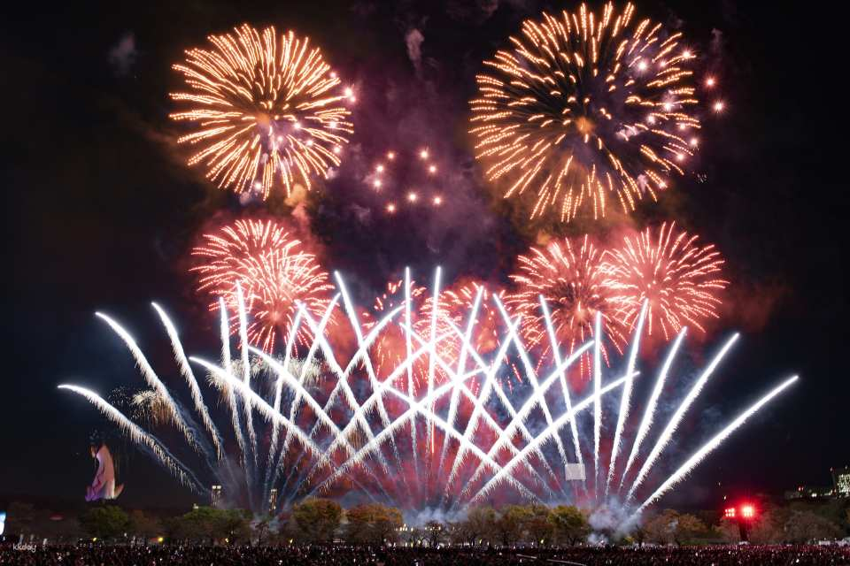 Day the Expo Night Sky Becomes Art - Viewing Tickets (Suita City, Osaka - Fireworks Festival) - Photo 1 of 10
