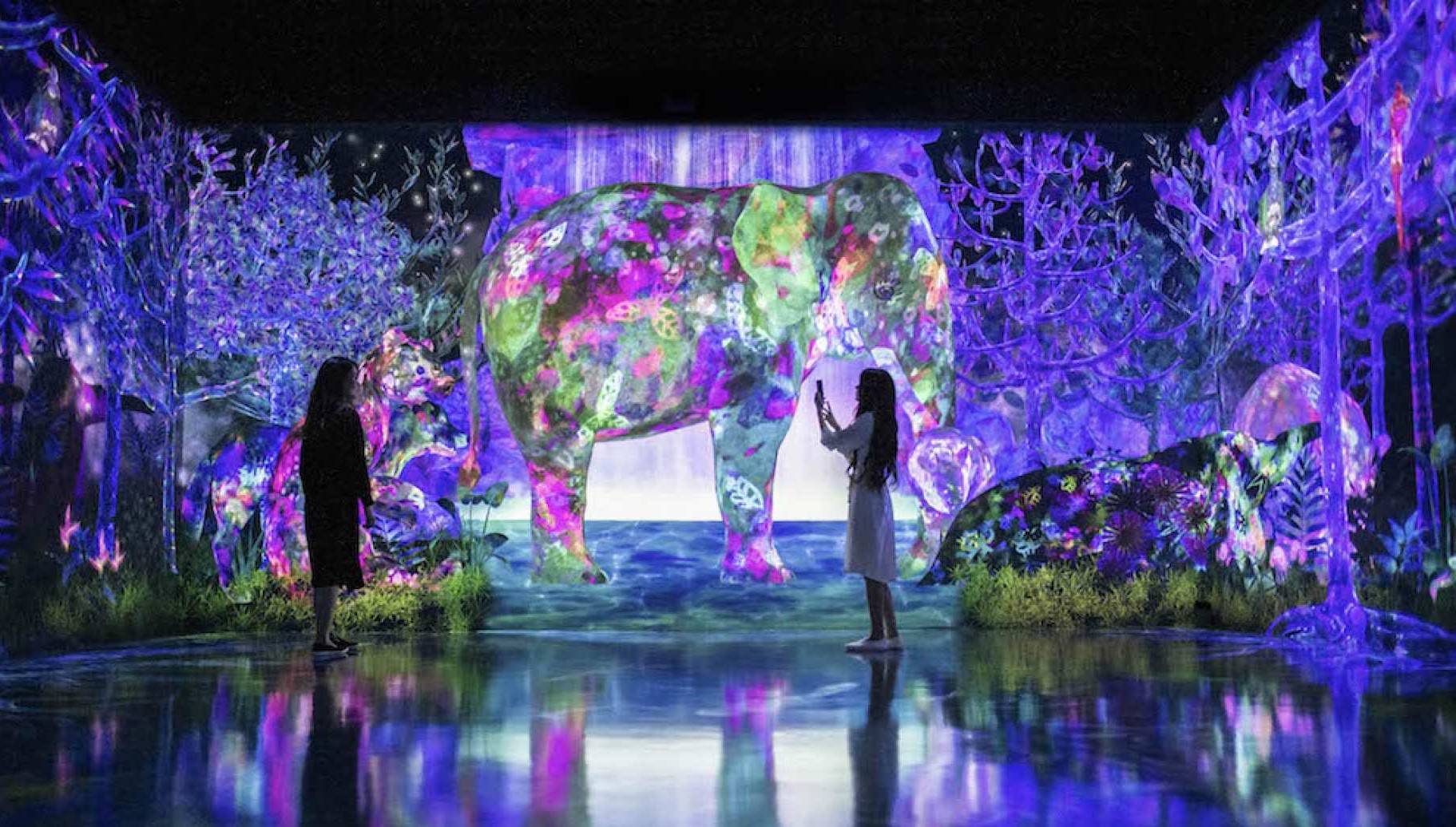 teamLab Forest Fukuoka - SBI Securities Tickets in Fukuoka | Pelago