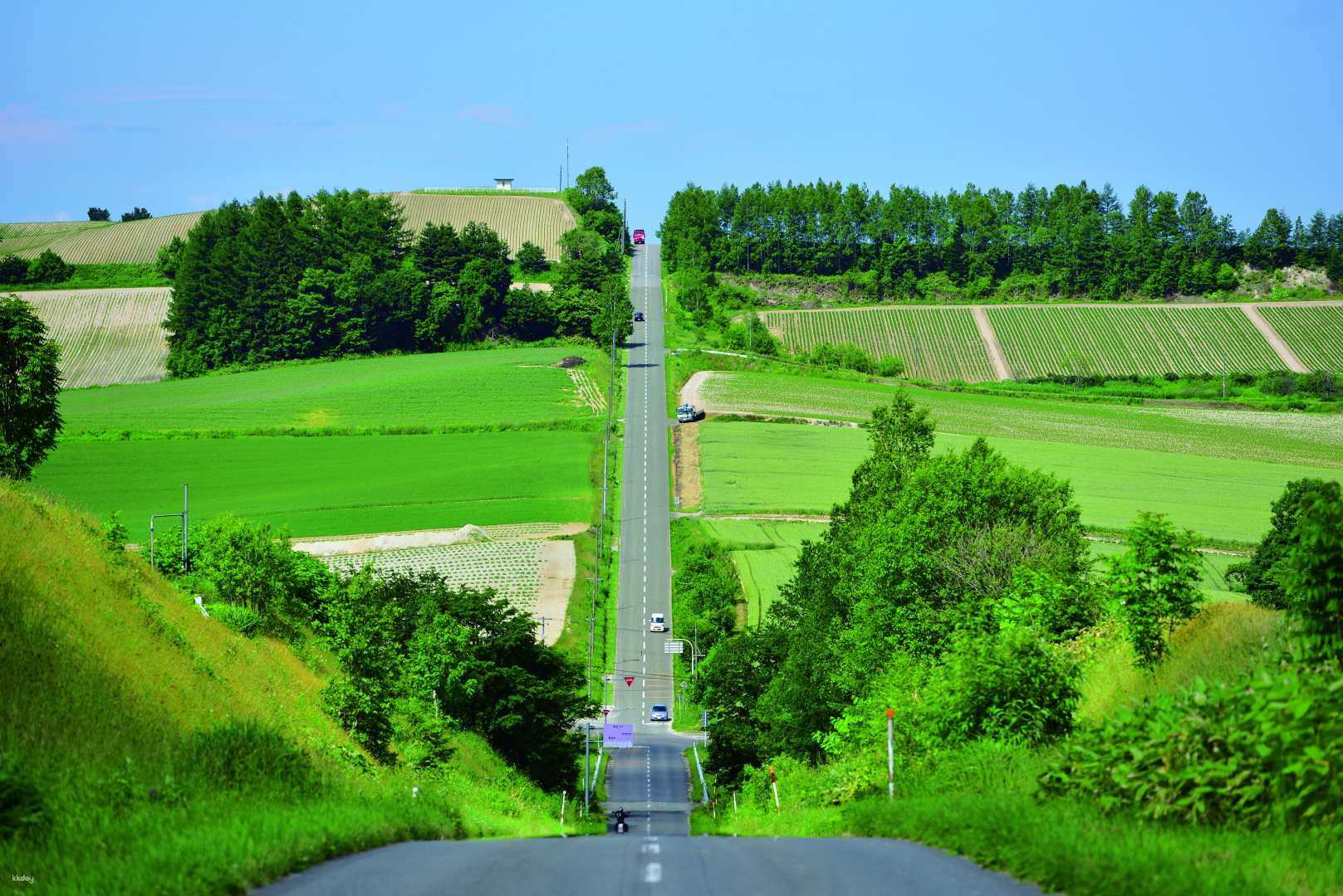 Experience the breathtaking landscapes of Hokkaido as you meander through lush fields and rolling hills immersing yourself in the stunning beauty of nature along the journey.