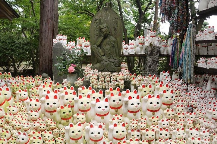 Experience the charm of Tokyo with a journey through historic sites and delicious local cuisine. Discover hidden gems while enjoying traditional meals creating lasting memories along the way.