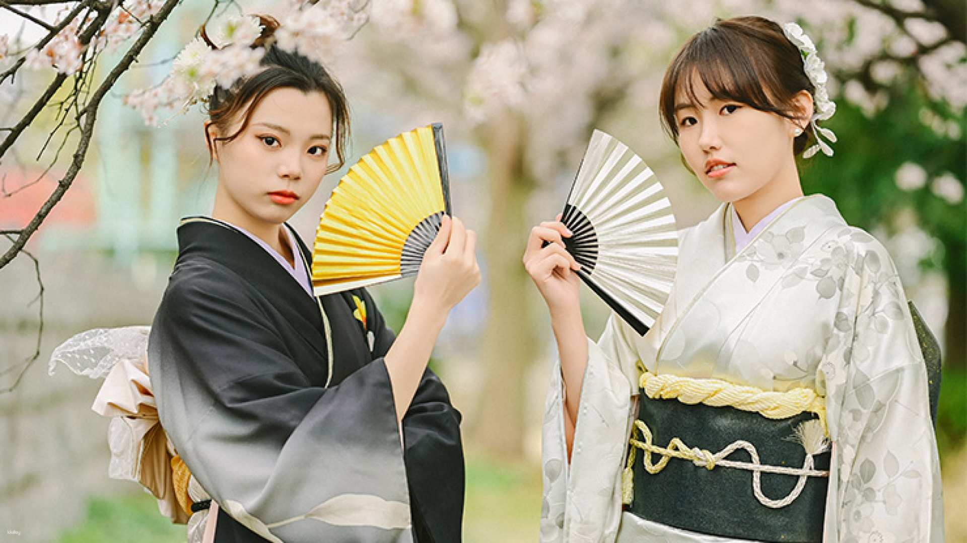 Experience the charm of traditional Japanese culture as you stroll through Kyoto’s iconic spots adorned in a stunning kimono. Perfect for capturing unforgettable memories amongst historical gems.