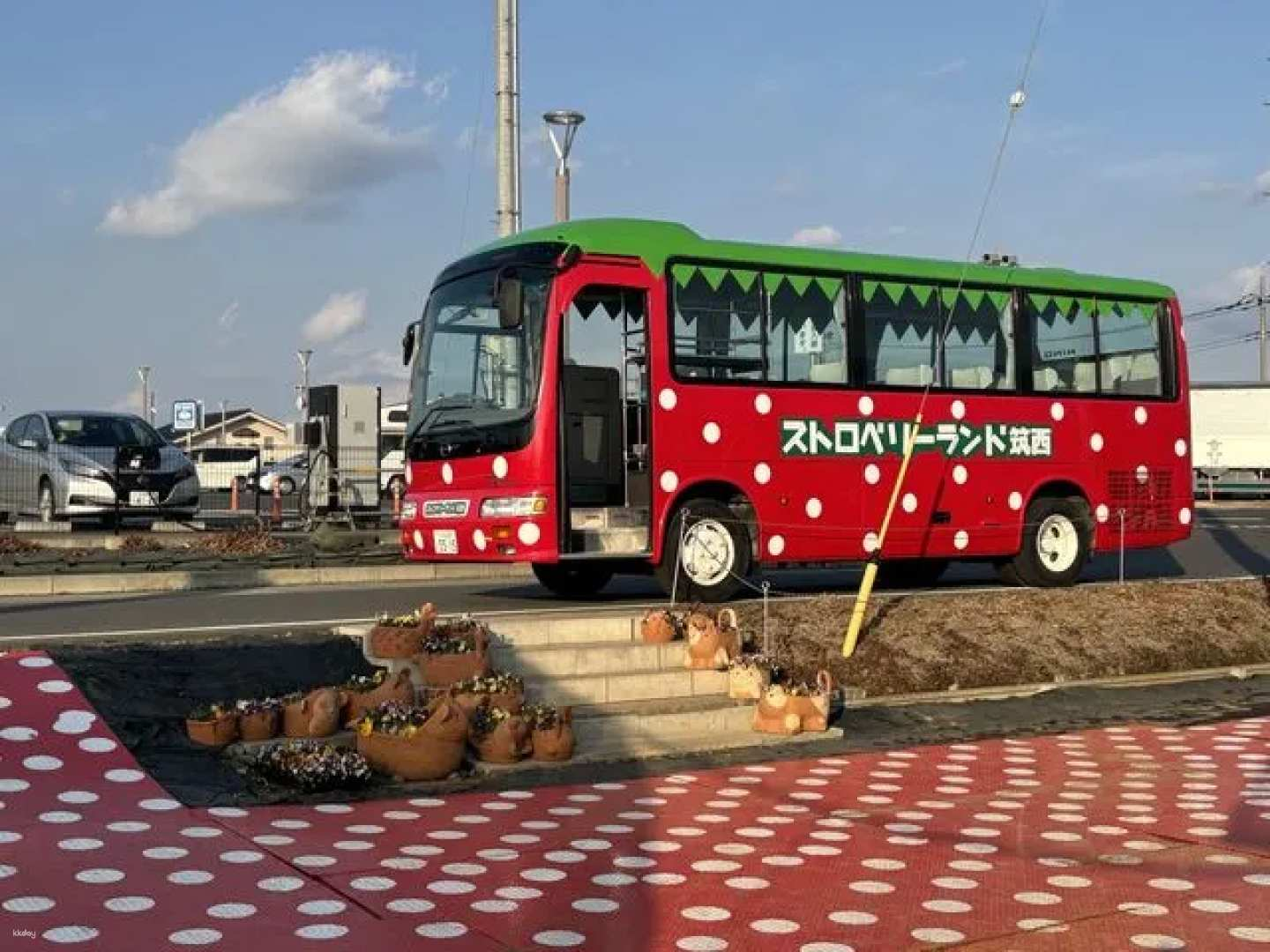 [For overseas visitors] Ibaraki Prefecture | Strawberry picking, enjoy comparing the taste of up to 10 varieties | Same-day reservations accepted! Open every day! - Photo 1 of 7