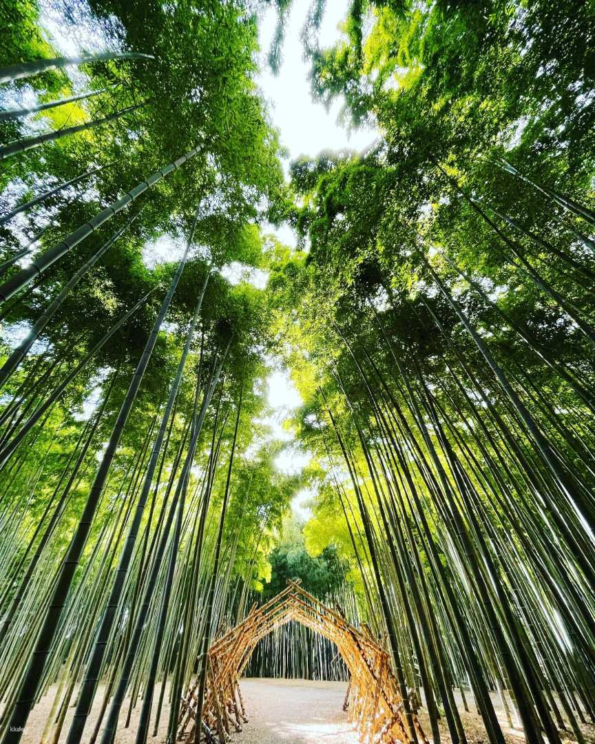 Four Seasons Bamboo Forest Wakayama Farm Ticket | Tochigi - Photo 1 of 6