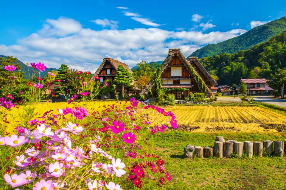 ［From Kanazawa］Shirakawa-go and Autumn Foliage White Road 1 Day Trip - Photo 1 of 9