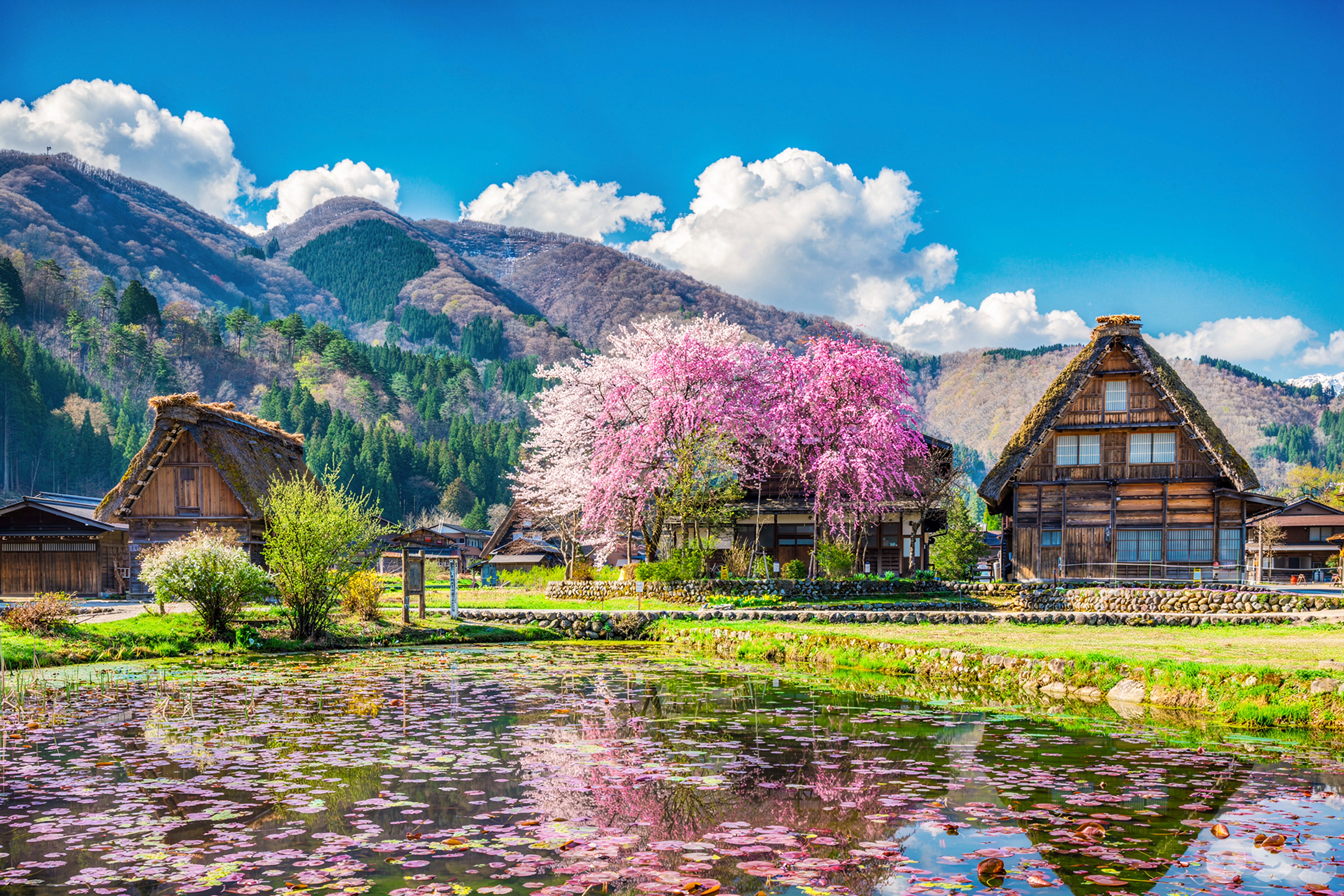 From Nagoya: 3 Essential Spots in Nagoya - Shirakawago, Takayama & Gujo Hachiman Day Tour - Photo 1 of 12