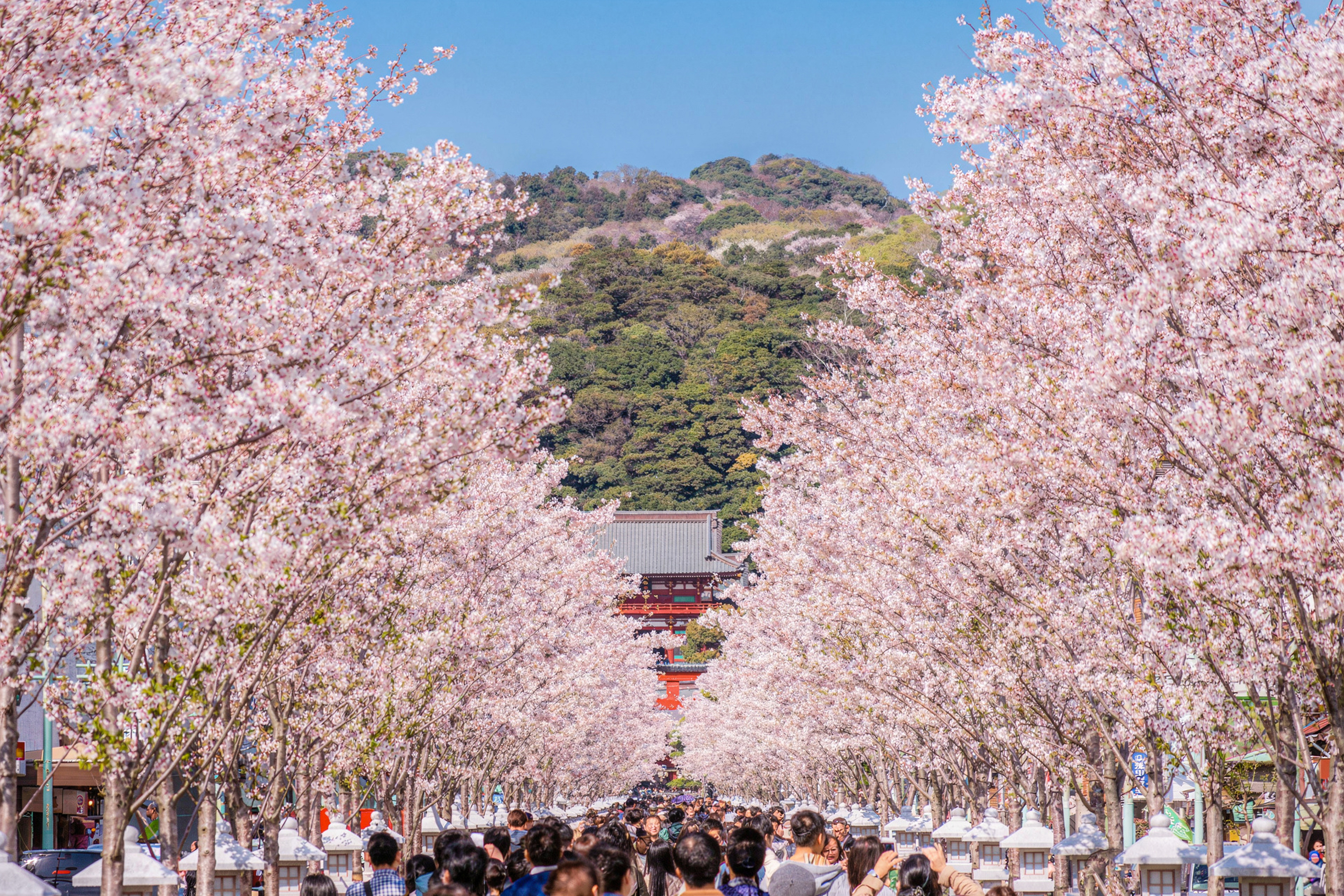 From Tokyo: Enoshima, Kamakura, & Yokohama Tour (Enoden Included) - Photo 1 of 10