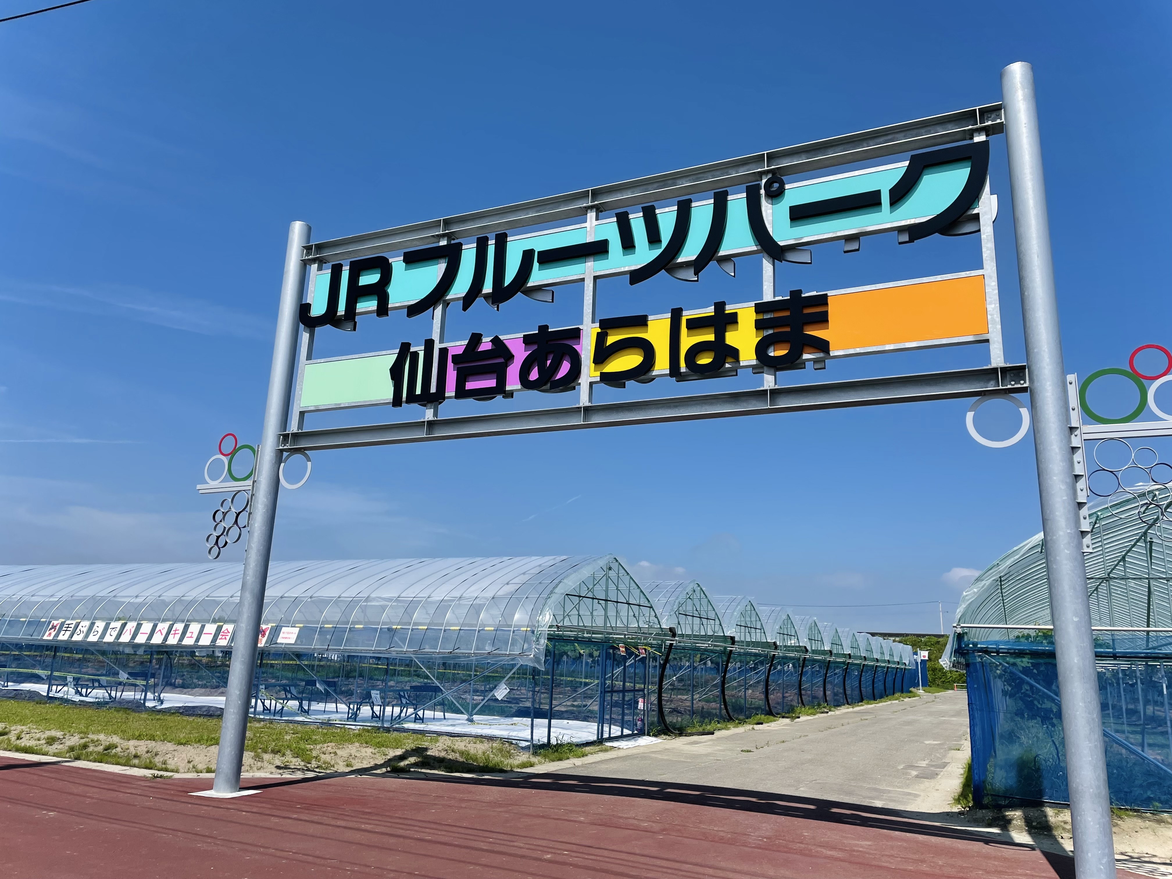 Fruit Picking and Curry Lunch with Fresh Vegetables in the Arahama area of Sendai City - Photo 1 of 12