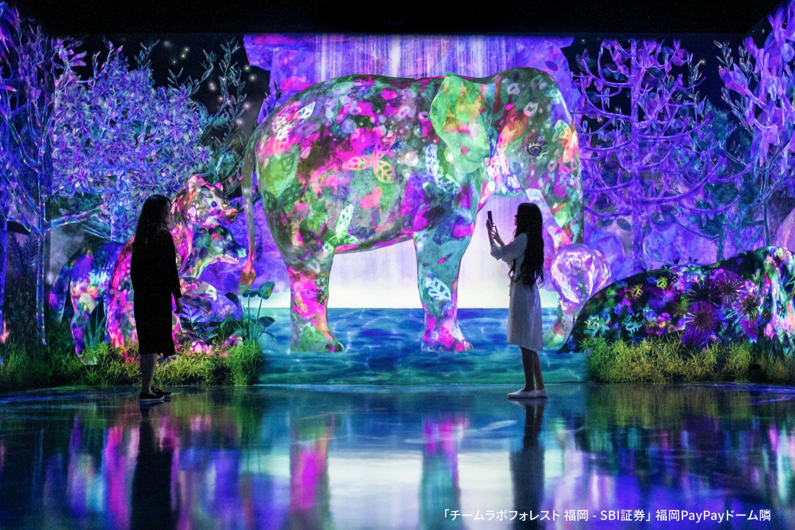 Fukuoka 1Day Tour of Delightful Discoveries! From Hello Kitty + TeamLab, Seasonal Fruits Picking to Tosu Premium Outlet! - Photo 1 of 10