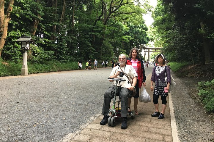 Explore Tokyo's rich culture and stunning scenery with ease. Experience famous landmarks while enjoying accessible pathways and personalized guidance from knowledgeable interpreters in this inclusive journey.