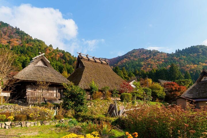 Discover the charm of Miyama's thatched houses nestled among rolling hills where the tranquility of nature complements the rich cultural heritage of Kyoto's outskirts offering a serene escape.