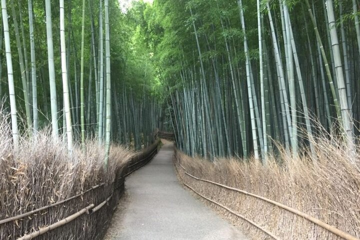 Arashiyama Bamboo Grove