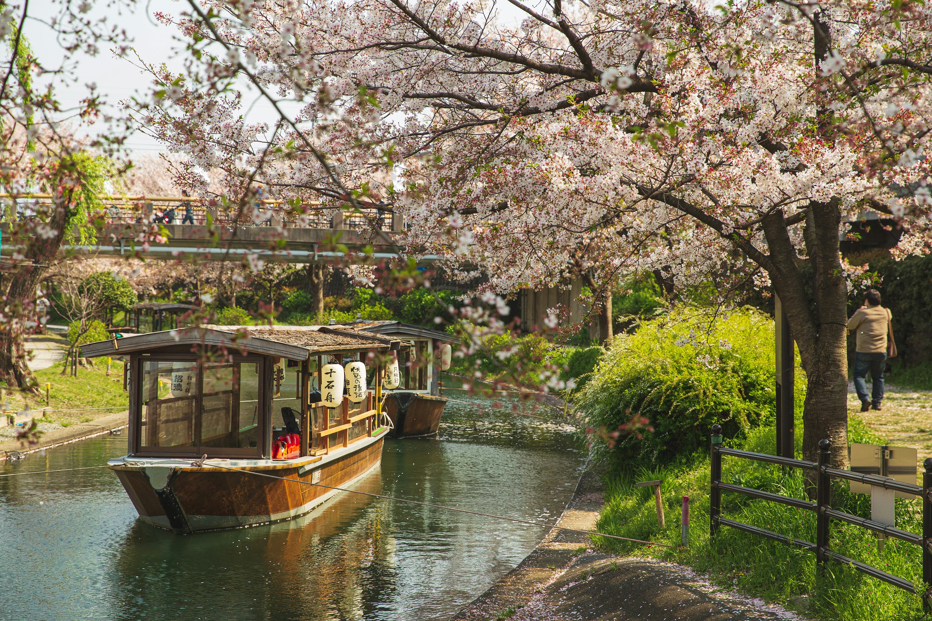 Fushimi Kyoto Walking Tour with Sake Tasting & Canal Boat Ride - Photo 1 of 10
