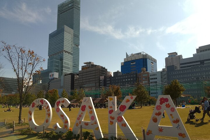 Experience Tennoji Park's scenic beauty while collecting goshuins at historic temples and shrines surrounded by stunning urban vistas and inviting greens perfect for leisurely strolls.