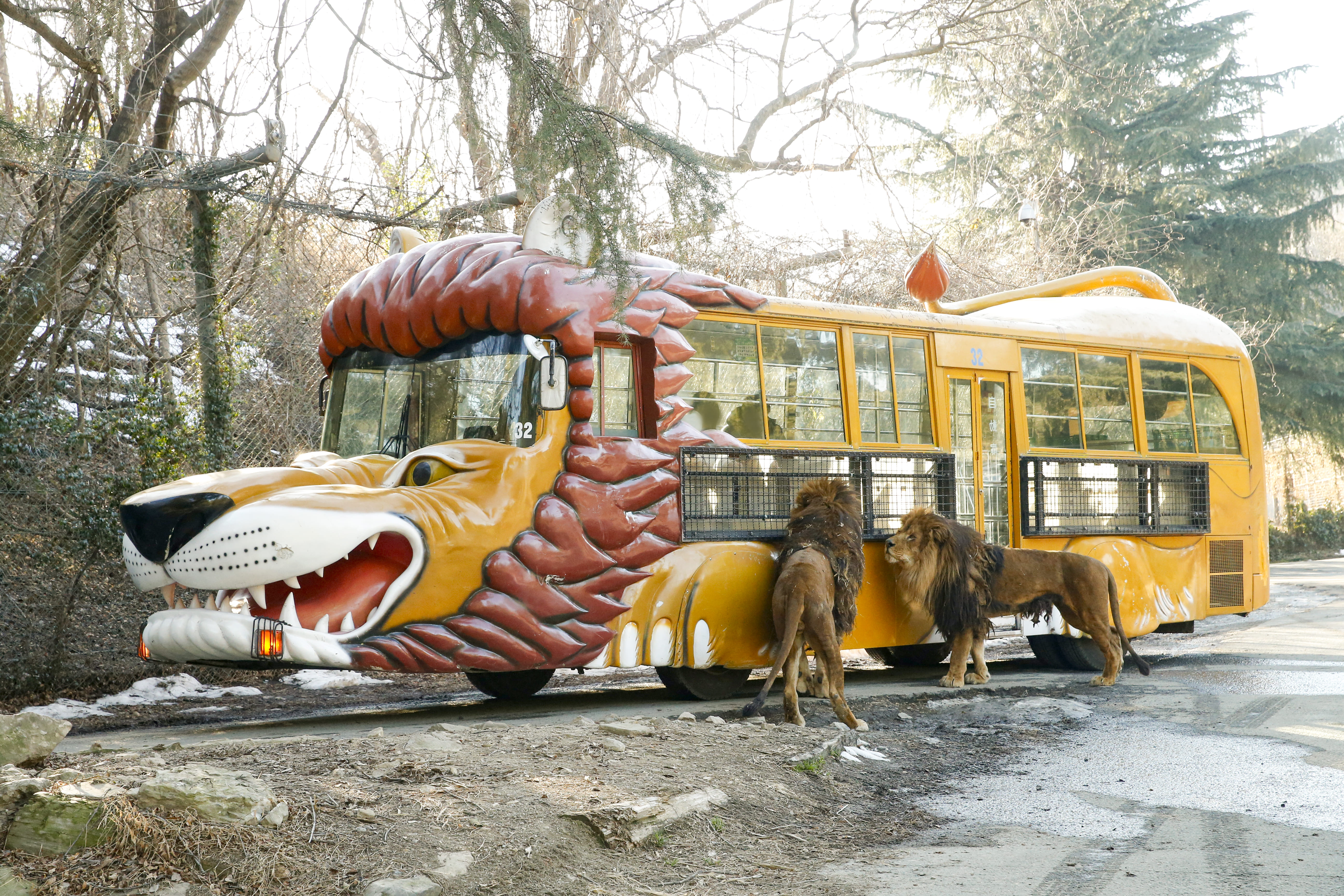 Gunma Safari Park Admission E-ticket <100-200 yen discount> - Photo 1 of 14