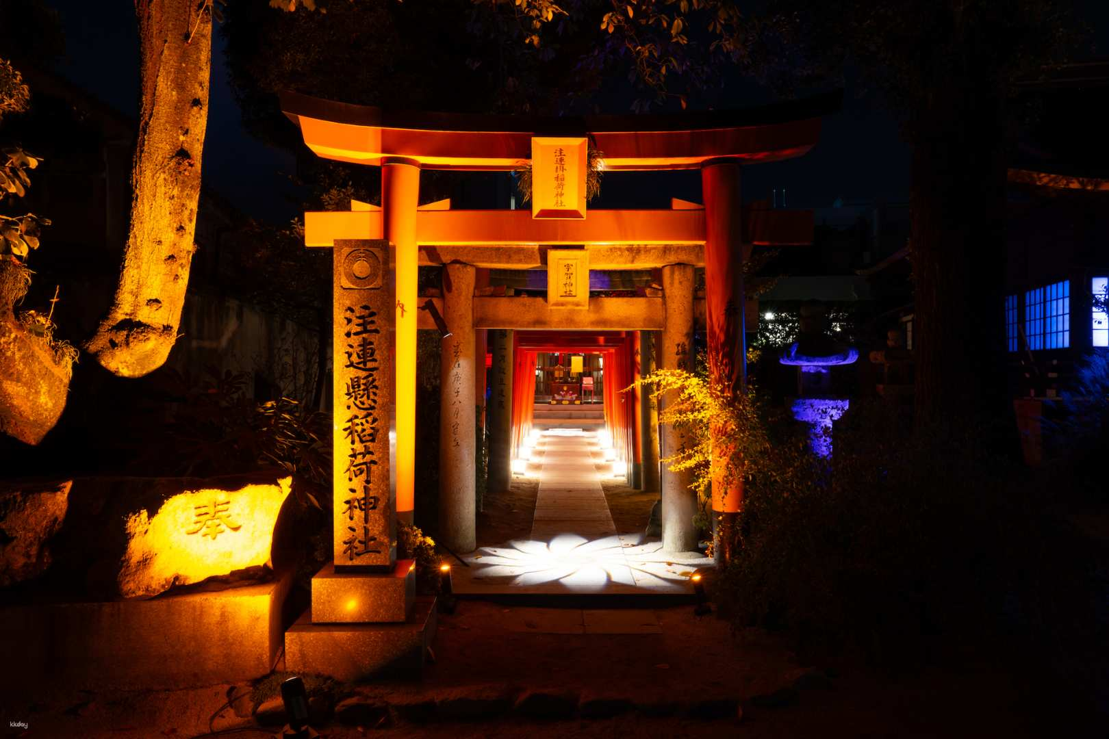 Step into a mystical realm as illuminated torii gates guide you through Hakata's serene night. Experience unique dragon-themed displays within tranquil gardens and historic temples this autumn.