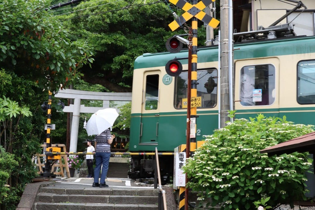 Hakone, Fuji-Hakone & Hakone-Kamakura: Transport Pass - Photo 1 of 5