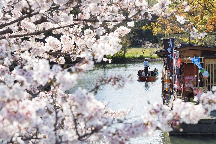 Experience the charm of Yanagawa’s canals surrounded by blooming cherry blossoms. Enjoy a serene boat ride with traditional songs while savoring a delicious grilled eel lunch.